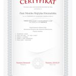certificate(11)